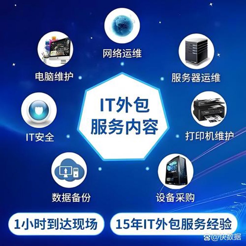 信息技术咨询服务引领未来方向